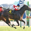 【競馬予想】[1]第74回阪神大賞典(GⅡ) /2026