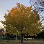 三重県よろずや