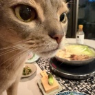 黄身大根おろしで食べる水炊きの夜ごはんと、楽天マラソン最終日