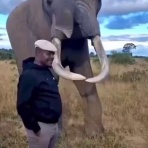 QQQ(海外の反応)