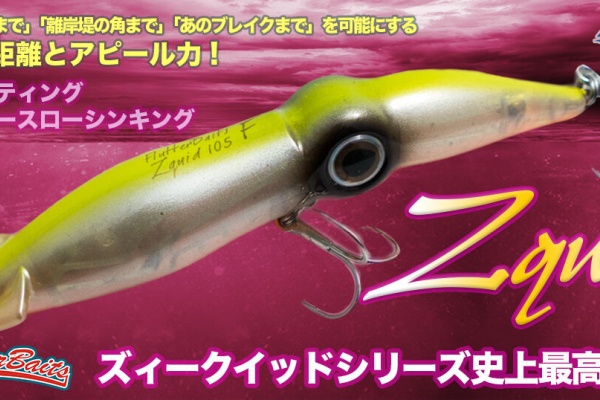 フラッター日誌 - 2020年02月