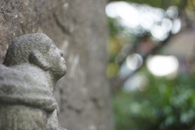 COSINA COSINON AUTO 50mm f1.8（M42） : 会計士によるバリューアップ 