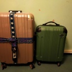 ネルちゃん事件簿　