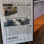 【岡山】　湯原温泉で、はんざきに出会う