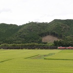 ＤＤパラダイスプレゼンツ Ｄ-ＲＨＡＰＳＯＤＹ☆