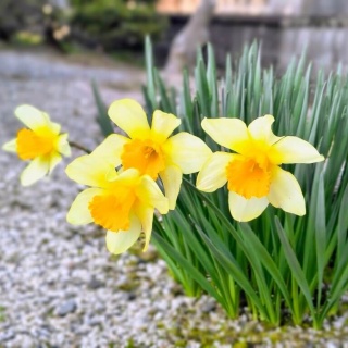 manaの発酵ごはんいただきます