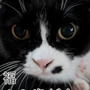 卒業生。