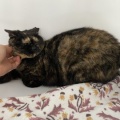 在籍１年２カ月　ついにまゆちゃんが卒業しました‼