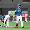 【札幌8℃】ハムファン集合