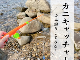 【セリア】『カニキャッチャー』って釣れるの？海でカニ釣りしてみた