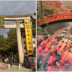 シェビーズのブログ