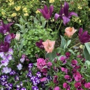 【5月5日祝日：1dayワークショップ開催】 🌿 私と向き合う時間 🌿