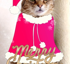 メリークリスマス!