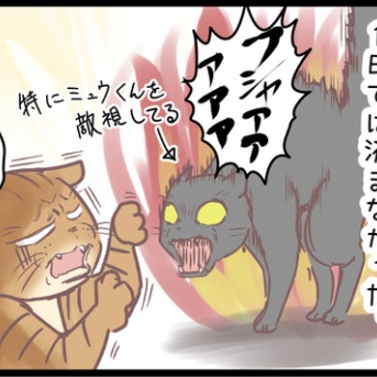 飼い猫たちの関係が!?いったいなぜ!?のまき