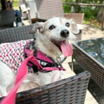 華・あず＆レン