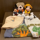 『【WDW】値段がさらに上がってる・・・』の画像