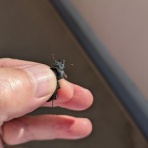 愛知県で働く理学療法士の日記