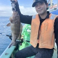 イワシの泳がせ　近場