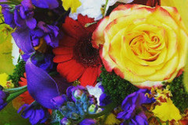 れいしょうの軌跡