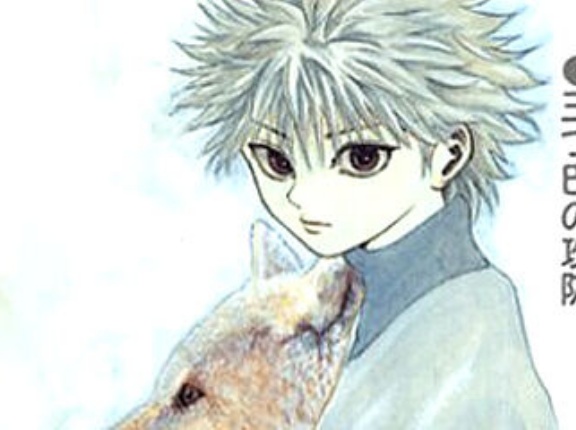 【衝撃】名作『HUNTER×HUNTER』凄い事に気付いたｗｗｗｗゴンよりキルアが女人気ある理由がこちら…もしかして…キルアは…