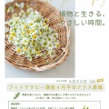 フィトテラピー講座４月はじまり平日クラスのご案内