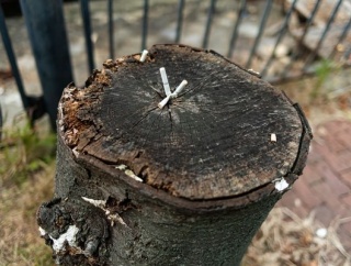 【画像】千島ノブ「昔は灰皿の吸い殻を車から捨ててた、そんな時代もおおらかで良かった。」→！