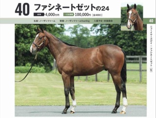 【キャロット】勝手に募集馬見解 その66 ファシネートゼットの24