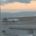 mamo style　やっぱり地味暮らし