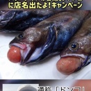 鉄腕ダッシュにスターダイブ店名が出たよ！キャンペーン開始