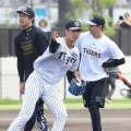 【衝撃】阪神・今朝丸裕喜が初先発へ！20歳で見せる“異常な進化”の正体