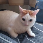 広島BayStyle（スミちゃんの釣り日記）