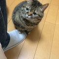 ばあちゃん「これからはＮＨＫの受信料を現金で回収しにくるってホント？」私（銀行員）「それは詐欺だよ。払っちゃダメ」ばあちゃん「わかった」→どうしてこうなったorz