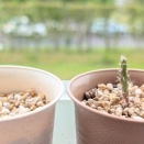 今日の一枚(4月23日)