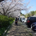 お花見へ行ってきました(幸神生活介護)