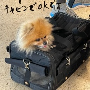 Τʤ֤Υȥ쥹줬Ф뺢