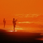 和彦の写真日誌