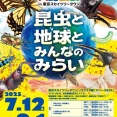 7/15は大昆虫展でアリの話