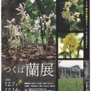つくば蘭展へ①(2025年12月)