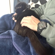 毎日が発見ネット掲載のお知らせ