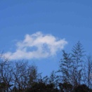 土曜日陶芸教室