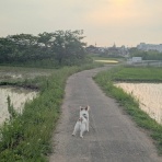 natural field　
