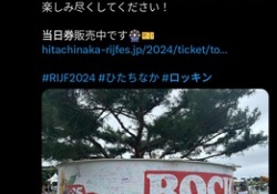 櫻坂ロッキン、前代未聞のスッッカスカで草【画像あり】
