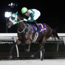 【10/1メインレースレポート】⑦エンドレスソロウ（牡2＝米川昇厩舎）が重賞初制覇！ 第25回サンライズカップ〔H1〕