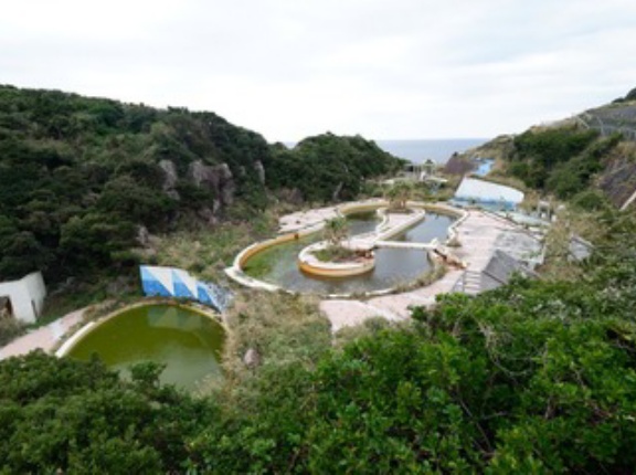 2022/12/12　F村とK館