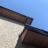 『今週は足場から』の画像