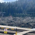 秋田内陸縦貫鉄道ブログ