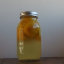 最後の柚子酵母