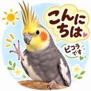 せっかくだから