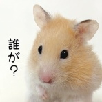 ブンチョ日誌
