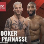 MMA The Orange